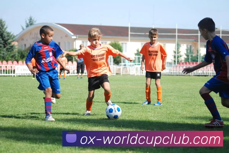 世界杯体育投注品牌故事