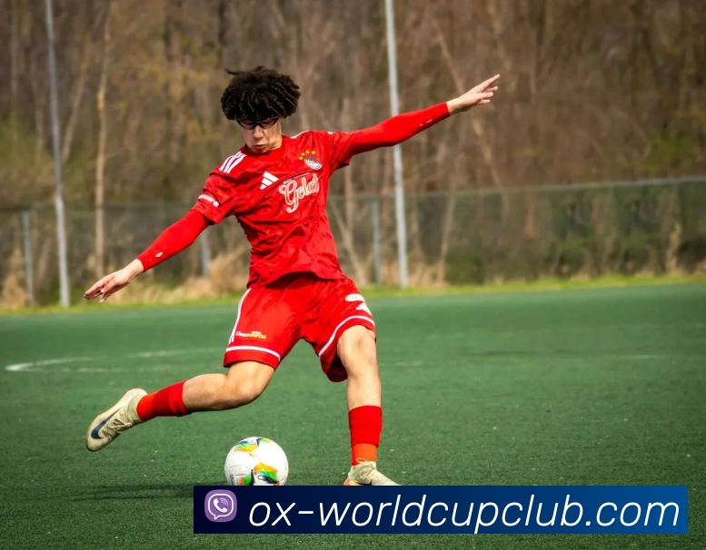 世界杯体育投注服务体系